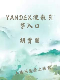 YANDEX搜索引擎入口